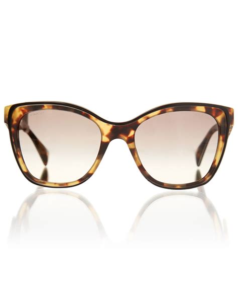 square cat eye sunglasses tortoiseshell